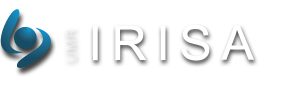 Institute for Research in IT and Random Systems